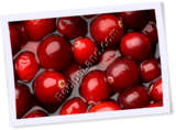 Recipe Photo