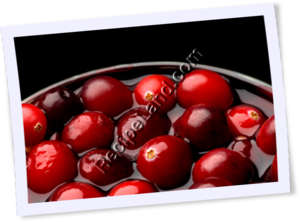Recipe Photo