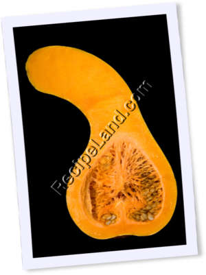 Recipe Photo
