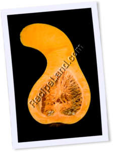 Recipe Photo
