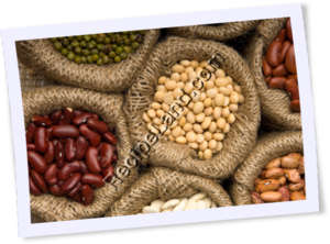 Recipe Photo