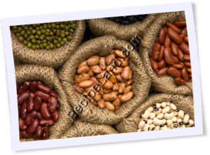 Recipe Photo