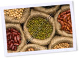 Recipe Photo