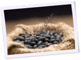 Recipe Photo