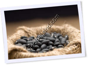 Recipe Photo