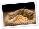 Recipe Photo