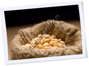 Recipe Photo