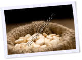 Recipe Photo