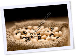 Recipe Photo