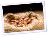 Recipe Photo