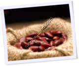 Recipe Photo
