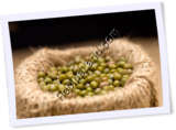 Recipe Photo