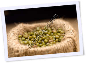 Recipe Photo