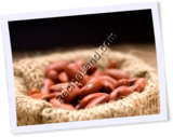 Recipe Photo
