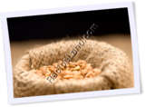 Recipe Photo