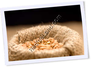 Recipe Photo