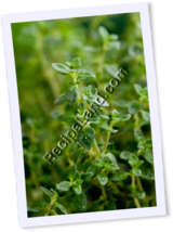 Recipe Photo