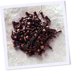 Recipe Photo