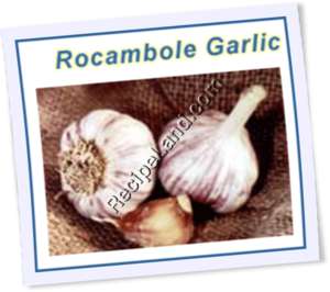 Recipe Photo