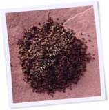 Recipe Photo