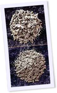 Recipe Photo
